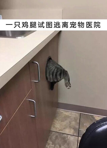 pasted-image-2026-05-30T01-22-09.png