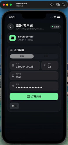 SSH登入界面，使用组网IP