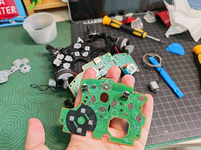 1000088041.jpg
