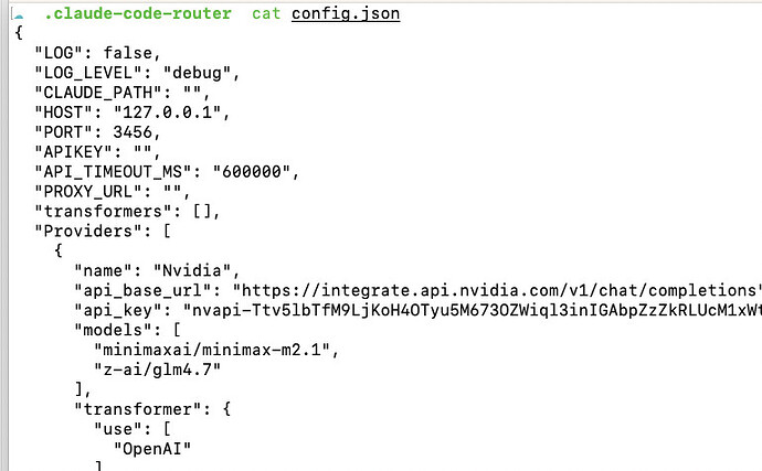 ccr 老黄的 api 400 - 开发调优 - LINUX DO