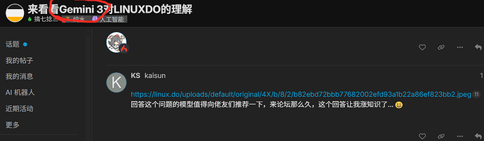 来看看Gemini 3对LINUXDO的理解 - 搞七捻三 - LINUX DO