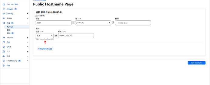 Cloudflare Tunnel 配置示例