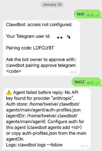 ClawdBot 祛魅 2小时安装+实际体验 还需再练练 - 开发调优 - LINUX DO