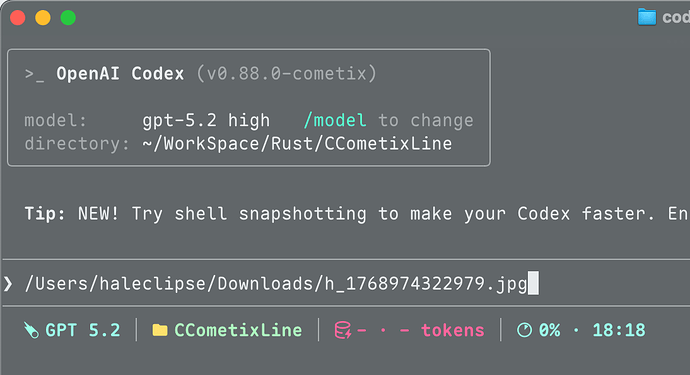 macOS Codex CLI复制图片的路径后cmd+V粘贴后会作为[Image #1]上传，但是我只是想把文件路径告诉他 - 开发调优 ...