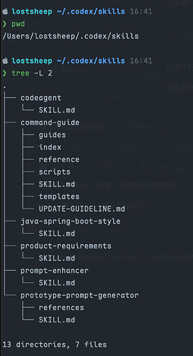codex安装了skills，但是我/skills找不到我安装的skills - 开发调优 - LINUX DO