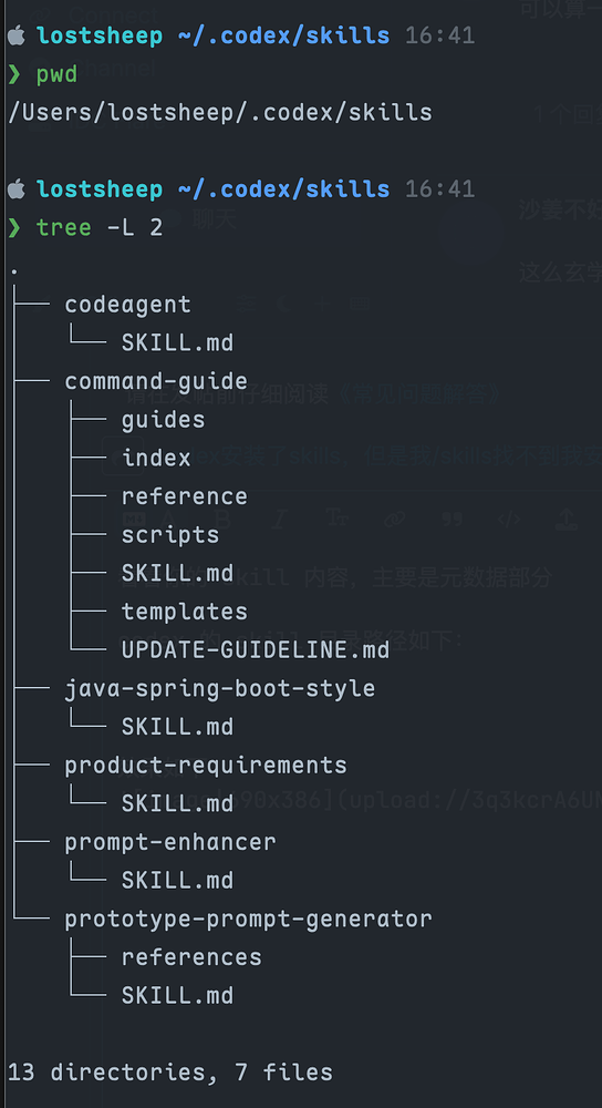 codex安装了skills，但是我/skills找不到我安装的skills - 开发调优 - LINUX DO