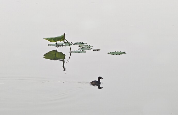 IMG_20250506_214847