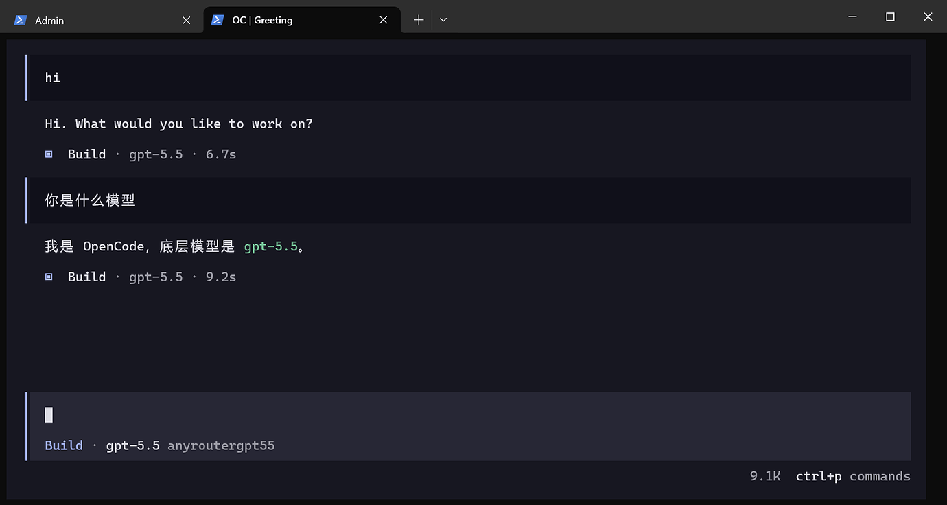 Any Router 的codex是怎么配置的 - 开发调优 - LINUX DO