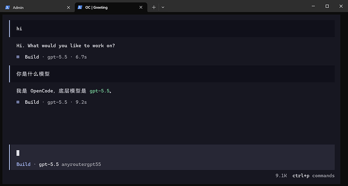 Any Router 的codex是怎么配置的 - 开发调优 - LINUX DO
