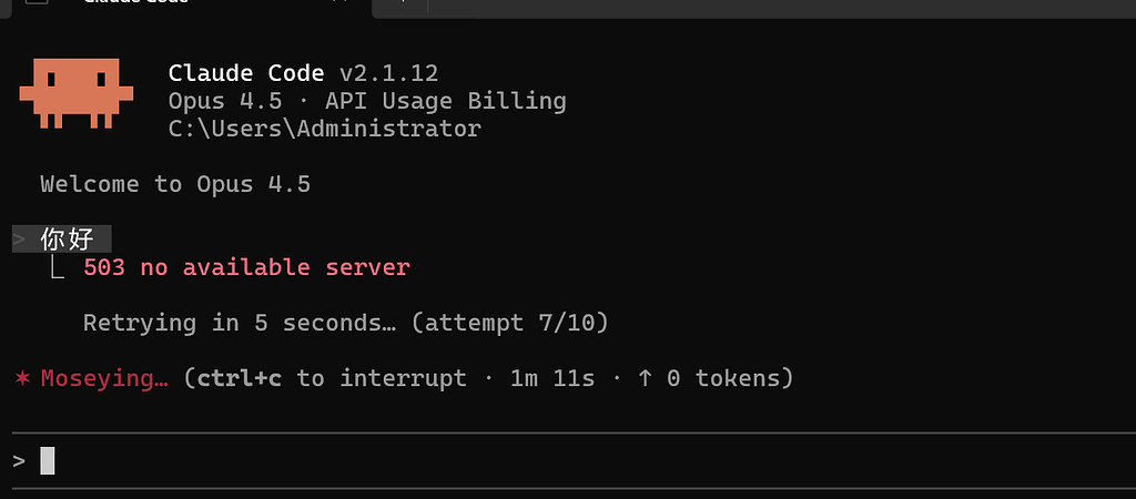 anyrouter的问题 - 开发调优 - LINUX DO