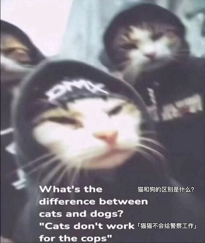 pasted-image-2026-05-02T03-46-25.png