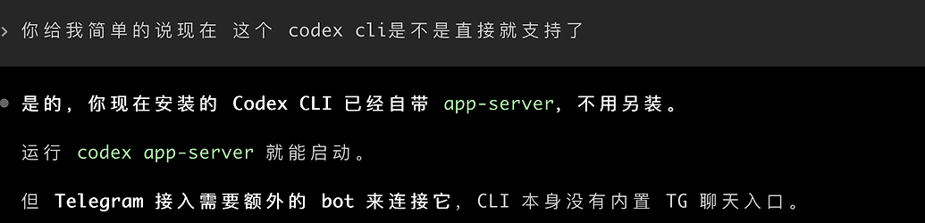 难道就我把 codex 连到 tg 上用？ - 开发调优 - LINUX DO