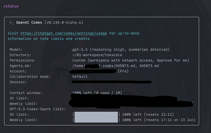 Codex Status Line Setup 好奇大家的codex status bar能有多fancy - #3,来自 FunctorFish - 开发调优 - LINUX DO