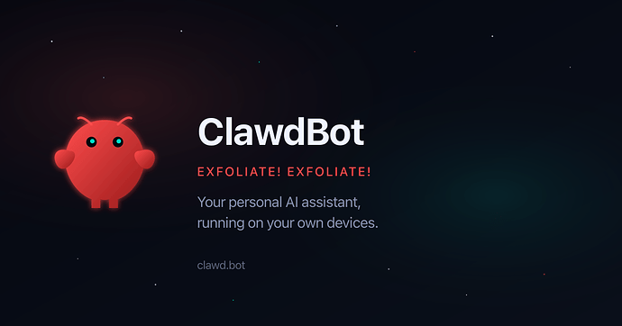 有佬用過 Clawdbot 嗎（配置救助）🙏 - 开发调优 - LINUX DO