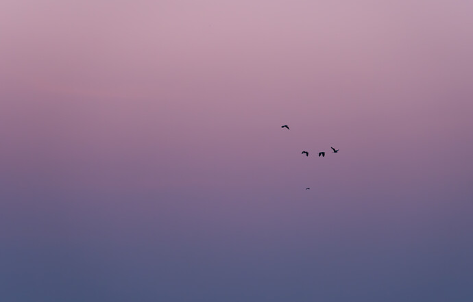 20260426-DSC00565