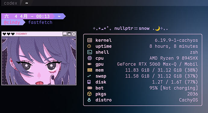 佬友们推荐一个自己爱用的Linux发行版咯？ - #29，来自 Camelia - 搞七捻三 - LINUX DO