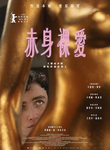 图片预览