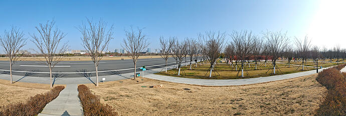 PANO_20260213_145348