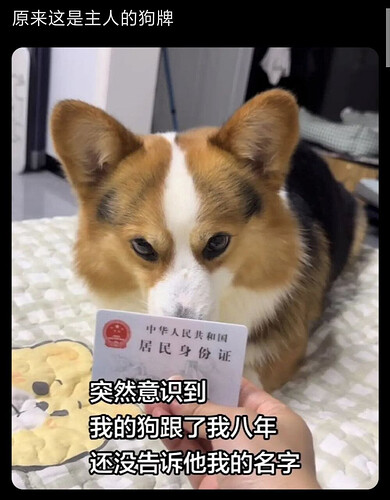 pasted-image-2026-06-03T02-34-31.png