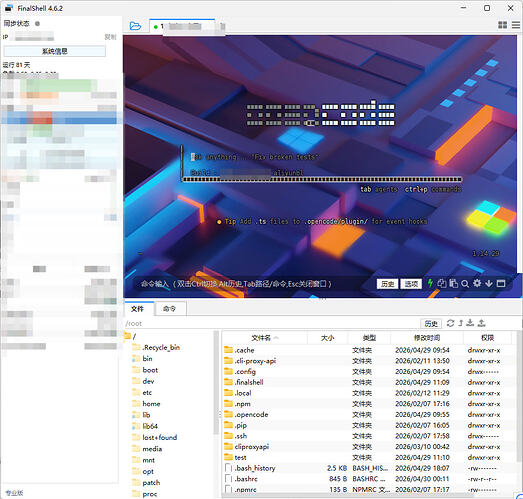 Codex 又一次删了我资源 - 开发调优 - LINUX DO