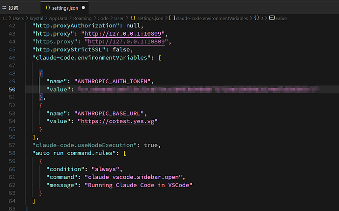 Claude code vs插件跳过登录问题求解 - 开发调优 - LINUX DO