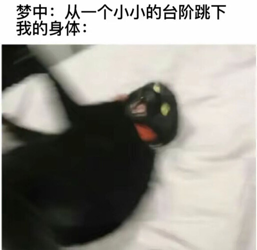 pasted-image-2026-05-05T05-13-32.png