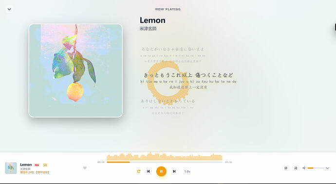 Web播放器
