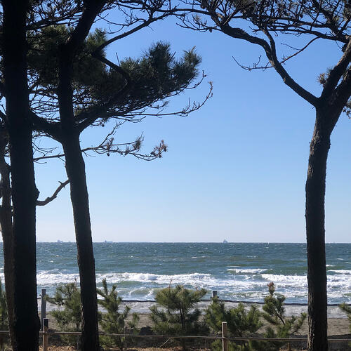 海边放风
