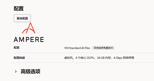 Oracle选了4C24G的ARM配置，估计成本$41.13/月 - 开发调优 - LINUX DO