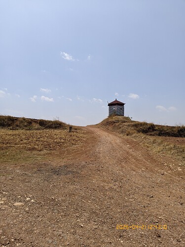 66.jpg