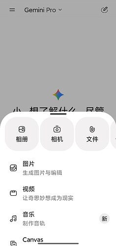 Screenshot2026-05-19-20-21-33-033com.google.android.googlequicksearchbox-edit