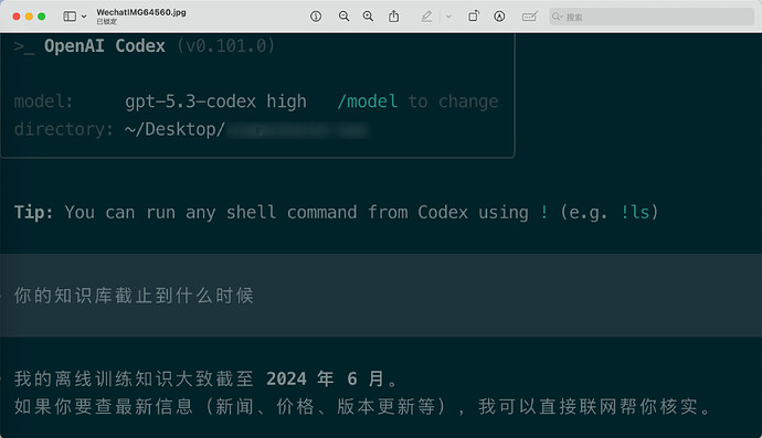 亲们，codex5.3知识库截止什么时候？ - 开发调优 - LINUX DO