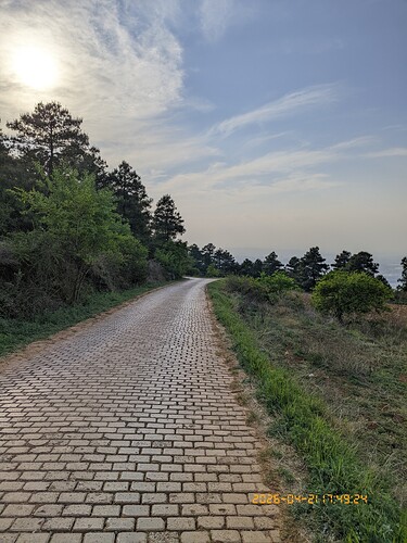 145.jpg
