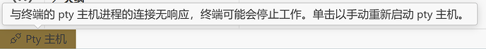 问题请教：vscode pty主机报错问题频繁出现，请问是什么原因啊 - 开发调优 - LINUX DO