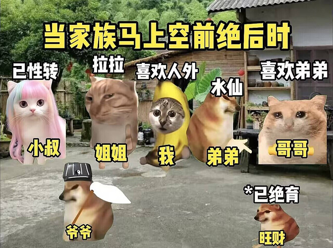 pasted-image-2026-05-04T08-39-19.png