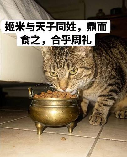 pasted-image-2026-06-06T13-42-52.png