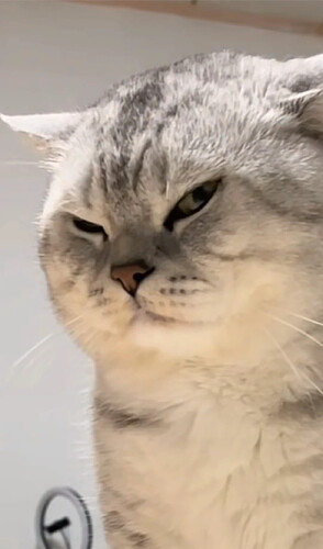 1000003833.png