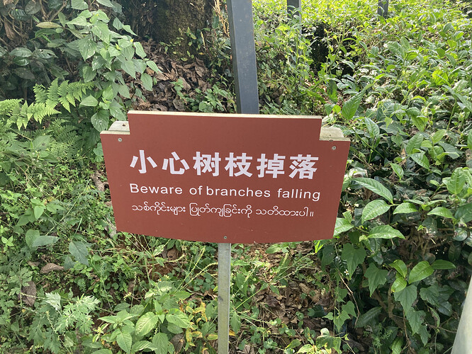 大地茶海_11.HEIC