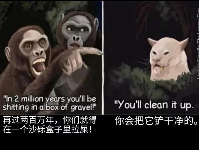 pasted-image-2026-06-03T02-48-15.png