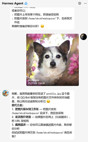 QQ1777961945465