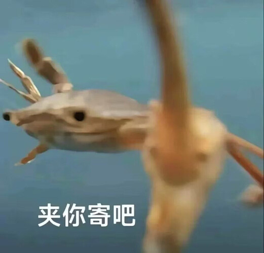 pasted-image-2026-05-13T02-42-05.png