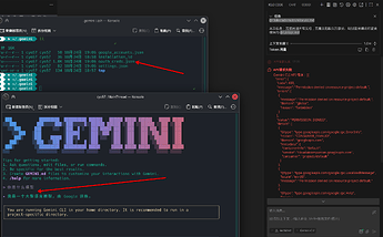 求助：kilo code 调用 Gemini-CLI 出现 403 错误 - 开发调优 - LINUX DO