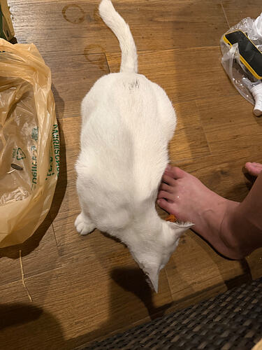 IMG_0605