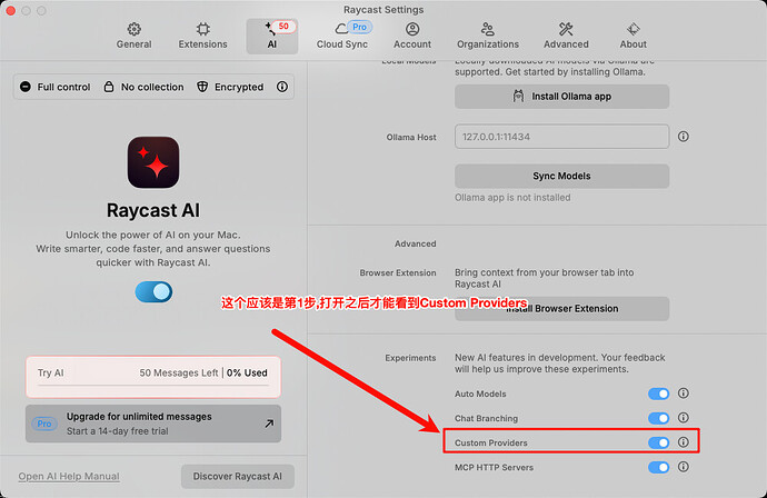 Raycast新版AI功能Custom Providers 体验 - 开发调优 - LINUX DO
