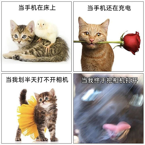 pasted-image-2026-05-13T03-09-46.png