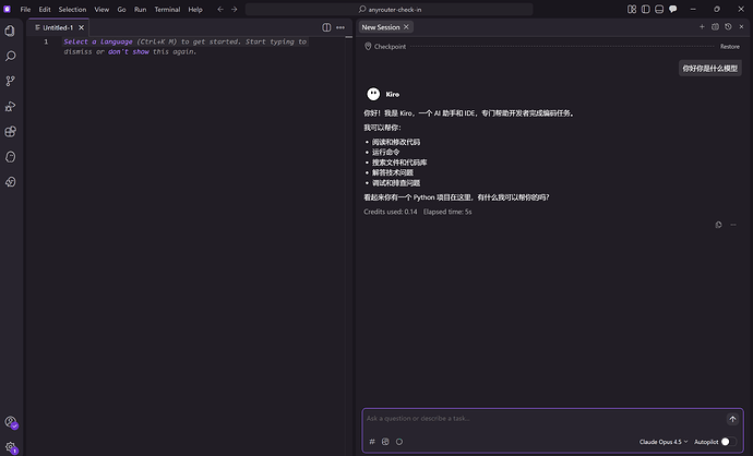 kiro逆向不明白 - 开发调优 - LINUX DO