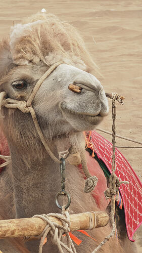 IMG_20260605_194728