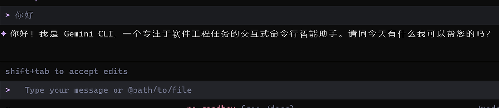 刚搞了一个google AI pro登录了Gemini-cli - 搞七捻三 - LINUX DO