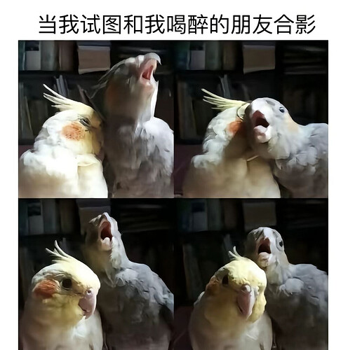 pasted-image-2026-06-10T12-42-05.png
