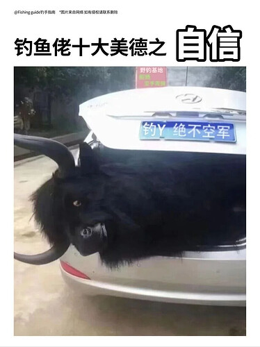 pasted-image-2026-06-09T01-02-27.png